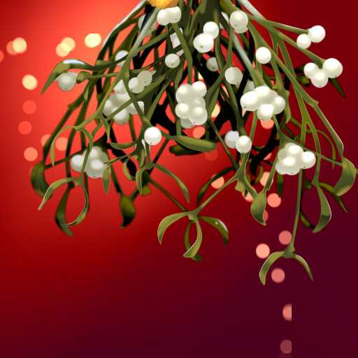 cartes voeux sous un bouquet de gui bg
