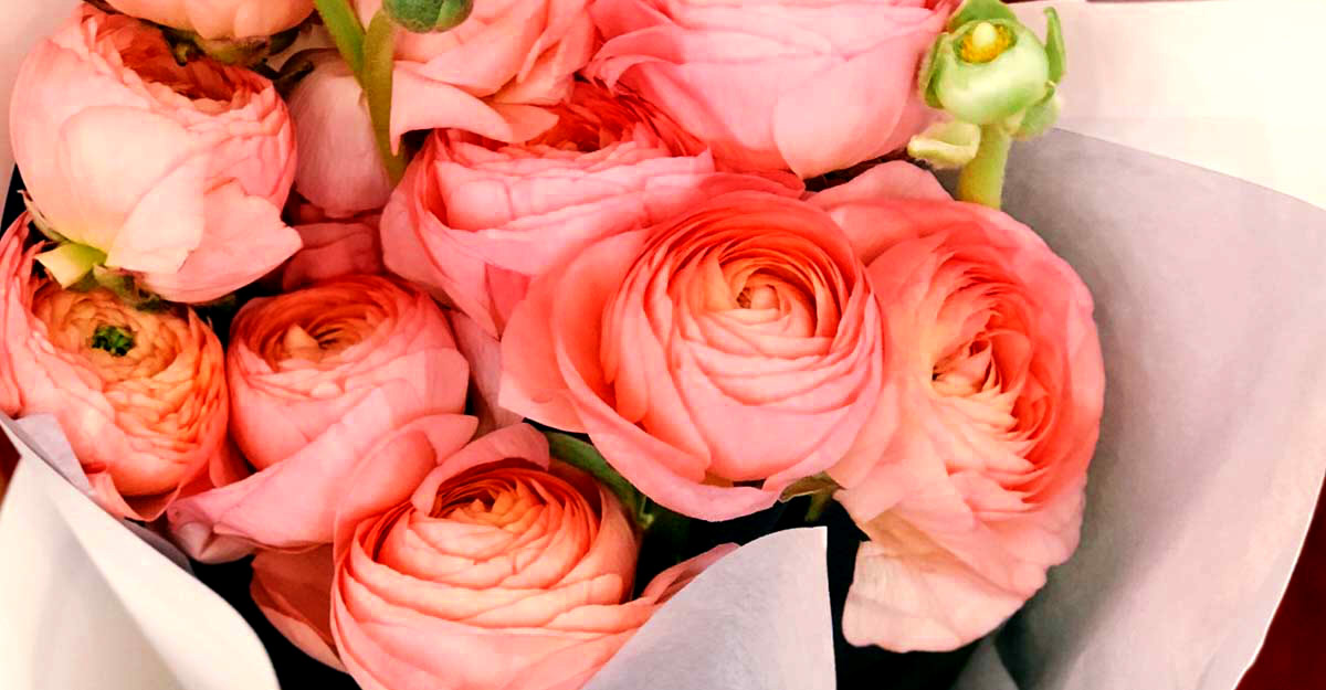 roses saint valentins
